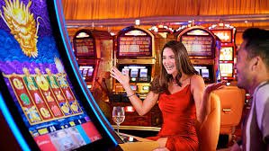 14vin bet 14vin bet